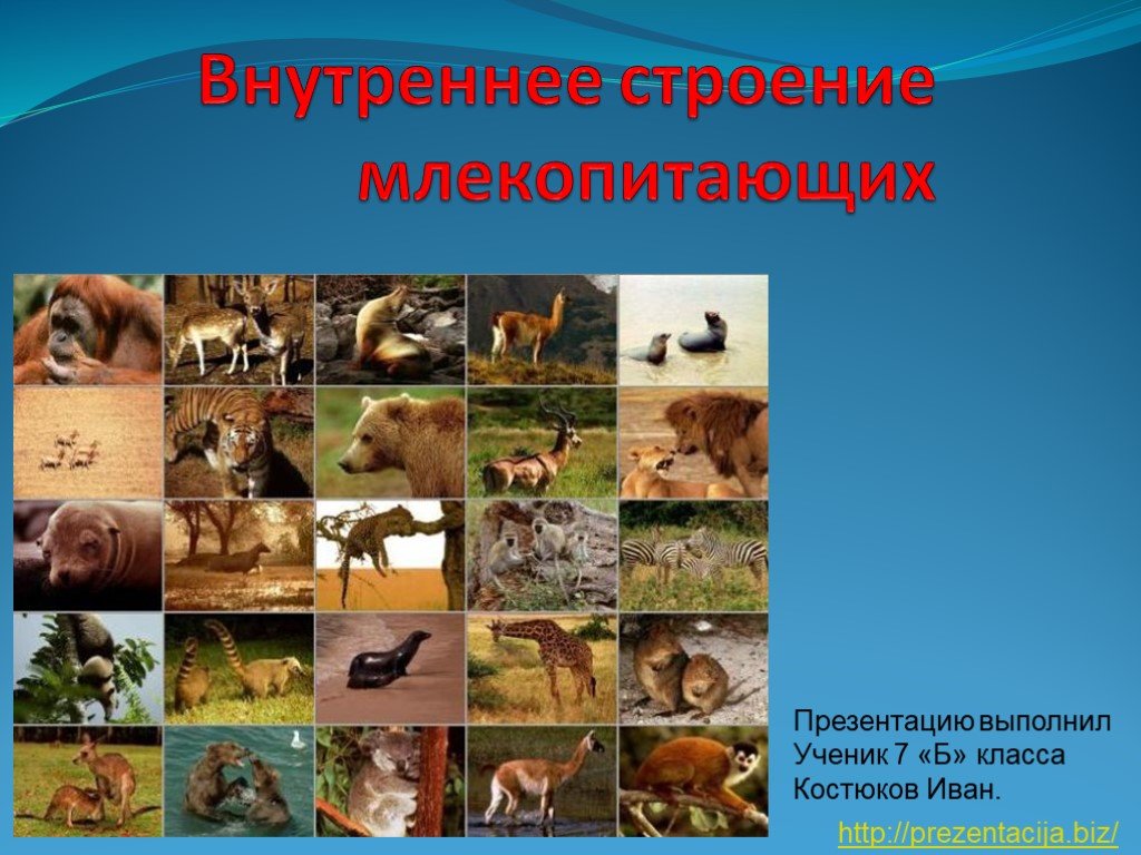 Украли аккаунт на кракене