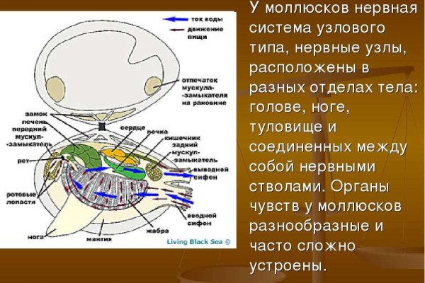 Украли аккаунт на кракене